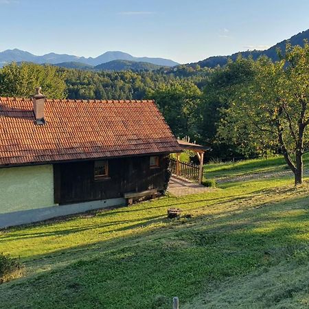 Hiska Ob Gozdu Villa Polzela Екстериор снимка
