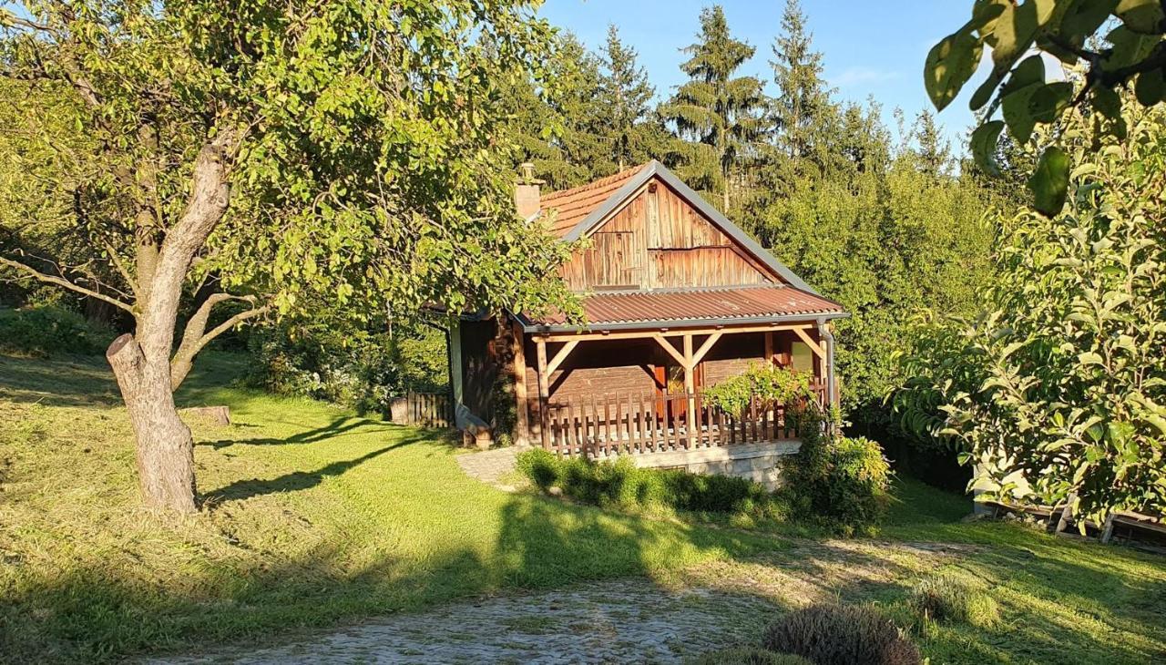 Hiska Ob Gozdu Villa Polzela Екстериор снимка
