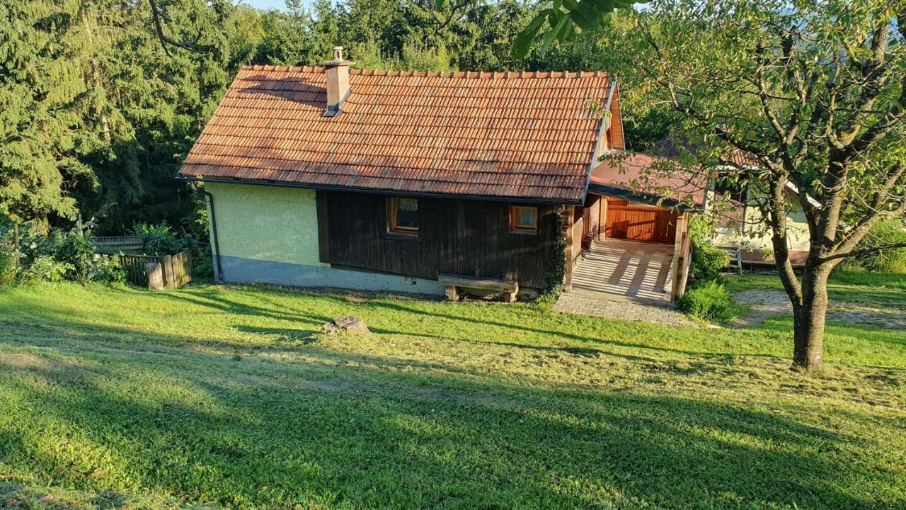 Hiska Ob Gozdu Villa Polzela Екстериор снимка